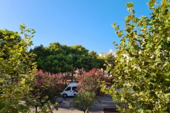 WakiConsiciousHotel-Entrada-Vistas